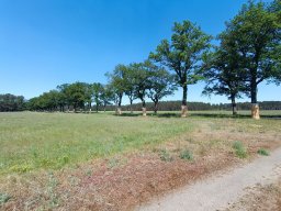Radweg Dreetz-Neustadt - Entstehung und Einweihung